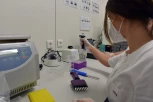 MOGLI BI SE SUOČITI SA MASOVNIM OBOLJEVANJEM: Virus registrovan u Srbiji, prvi slučaj potvrđen u Vojvodini - a evo kako se zaštititi!