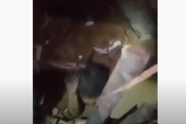 (VIDEO) SPASIOCI GOLIM RUKAMA KOPALI DO NJE: Devojčica pronađena živa nakon 24 sata pod ruševinama Bejruta!