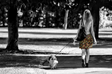 Da li previše šetate svog psa? Stručnjaci odgovaraju na to pitanje