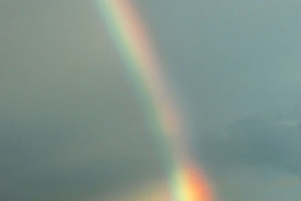 FAŠISTIČKI GRAFITI USRED NOVOG SADA! FRAPANTAN PRIZOR: Precrtan simbol Jevreja, gradonačelnik Vučević se odmah oglasio