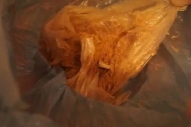 ŠOK SNIMAK ZAPLENE DROGE! Pali dileri s Novog Beograda i Voždovca: Policija iznela gomilu narkotika iz stana!