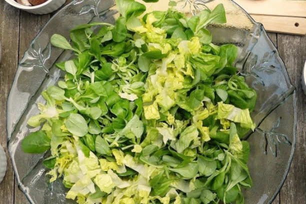 (RECEPT) IDEALAN LETNJI OBROK: Napravite HRONO brzinsku salatu!