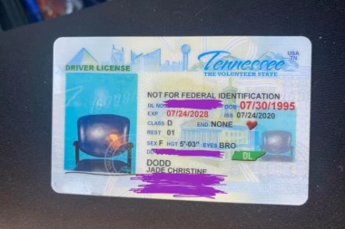 (FOTO) OVO SE SAMO JEDNOM DEŠAVA: Slikala se za vozačku, a umesto njene glave - STOLICA!