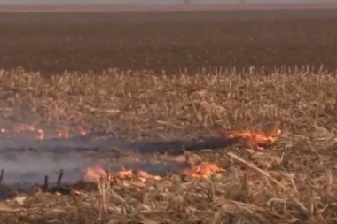 Ovaj srpski običaj čini se bezazlenim, a prošle godine je odneo 14 života: Posledice paljenja strnjike mogu biti KATASTROFALNE!