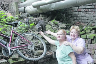 ZA PRIMER SVIMA: Humane dame spas za mace i kuce