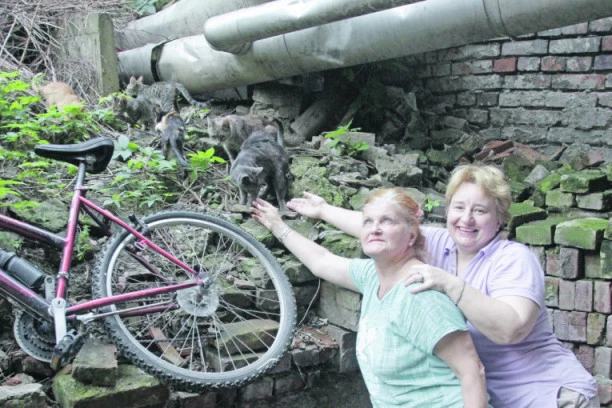 ZA PRIMER SVIMA: Humane dame spas za mace i kuce