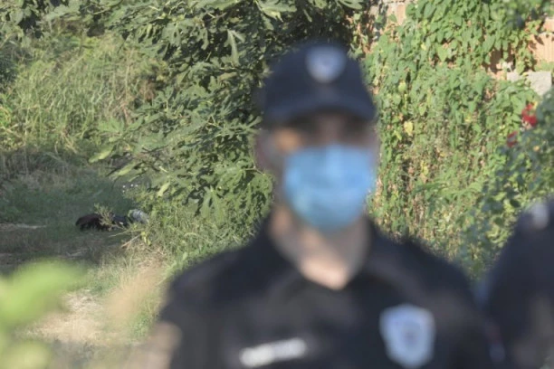DRAMA U APATINU! Dečak se izgubio u šumi, celu noć lutao! NAĐEN JUTROS NA OBALI DUNAVA!