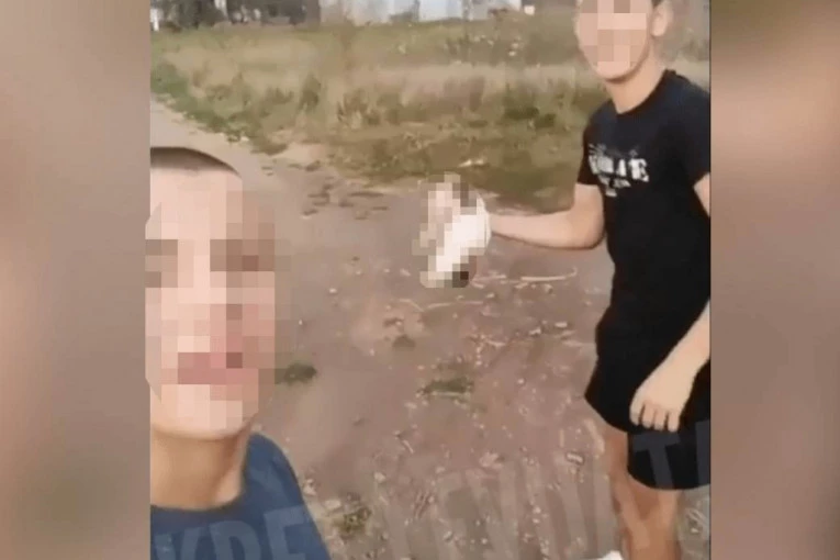 UŽASNO: Dvojica mladića brutalno mučili malo mače, jadna životinjica se tresla od povreda i bola