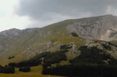 (FOTO) ČUDO NA ŽABLJAKU: Pronađena misteriozna životinja, niko ne zna koja je vrsta