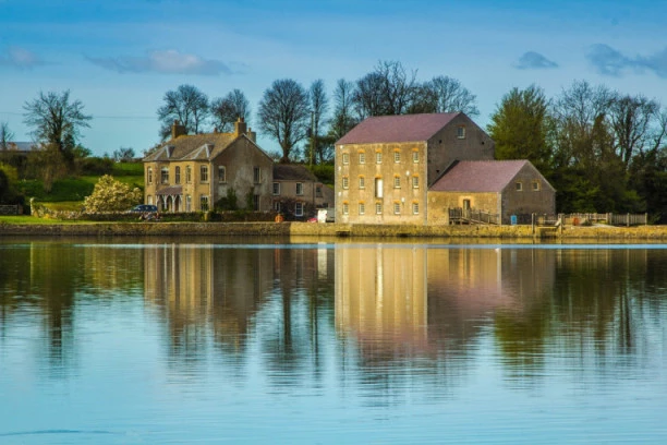 KUPILI KUĆE ZA EVRO, pa im se život pretvorio u pakao! Sada mole ljude za jednu stvar!