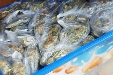U BUNKERU AUTOMOBILA KRIO 27 KILOGRAMA DROGE! Hapšenje u Novom Kneževcu!