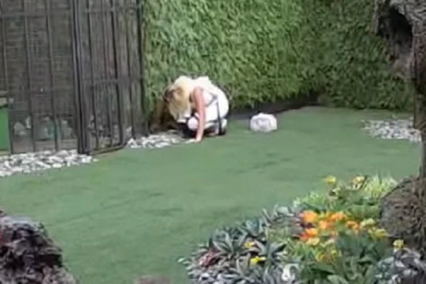 Sve je ovo previše za cicu sa Instagrama: Anja pokušala da pobegne iz Zadruge!