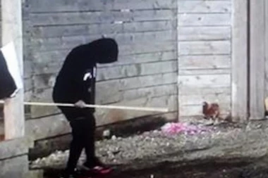 Iznervirao se zbog Kije? Vuk planira BEG IZ ZADRUGE!