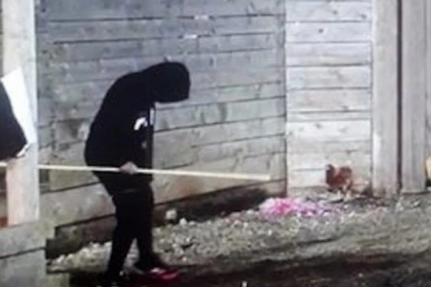 Iznervirao se zbog Kije? Vuk planira BEG IZ ZADRUGE!