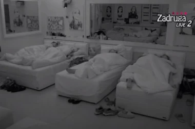 (VIDEO) LEPI MIĆA SE SVAĐA I U SNU! HIT SNIMAK: I dok spava zadrugar psuje kao kočijaš!