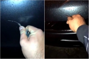 (VIDEO) HAPSITE OVU DILEJU! Zbog ovog snimka iz Novog Sada mnogi su pobesnili - MUŠKARAC NAMERNO UNIŠTAVA AUTOMOBILE I SVE SNIMA