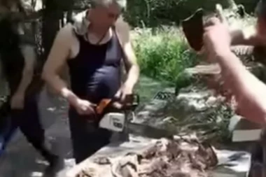 (VIDEO) SNIMAK POSTAO HIT NA INTERNETU: Sekli jagnjetinu motornom testerom, komentari samo pršte