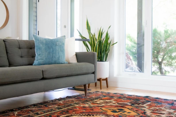 SJAJAN TRIK da spasite tepih upropašćen od nameštaja