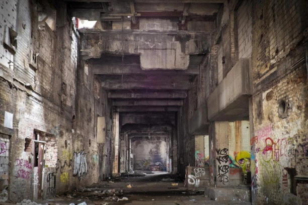 Horor na Medaku: Žena na terasi držala 30 mrtvih mačaka, iz stana izbačeno 1.300 vreća smeća