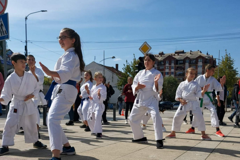 Mali sajam sporta u Aleksincu