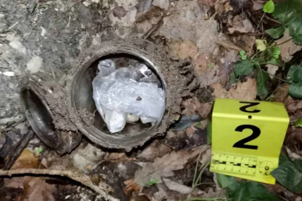 Smailu su brutalno ODSEKLI GLAVU i zamotali u najlon kesu, a njegovoj sestri je sada određen pritvor zbog dilovanja DROGE!