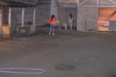 Skrenula s uma: Polila dečku stvari uljem, pa bežala iz Zadruge!