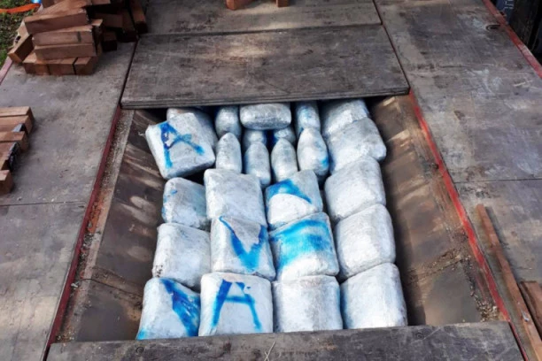 POZNATI REPER OSTAJE U ZATVORU: Pritvor produžen zbog mogućeg ponavljanja krivičnog dela