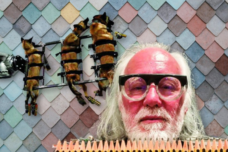 TEŠKI BOLESNIK! Kači pse na olovne šipke dok oni cvile