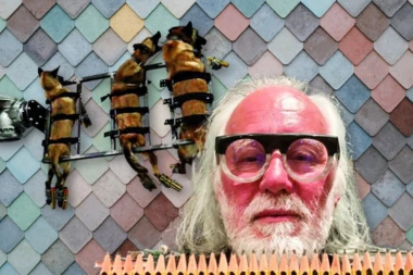 TEŠKI BOLESNIK! Kači pse na olovne šipke dok oni cvile