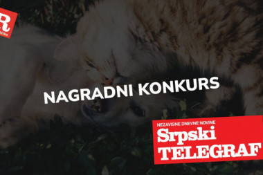(FOTO) NEMATE MNOGO VREMENA, TRKA JE POČELA! Nagradni konkurs Republike i Srpskog telegrafa - "MOJ LJUBIMAC I JA"!