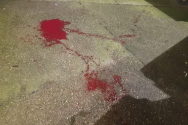 SAZNAJEMO: 10 TERORISTA SEJE SMRT PO BEČU