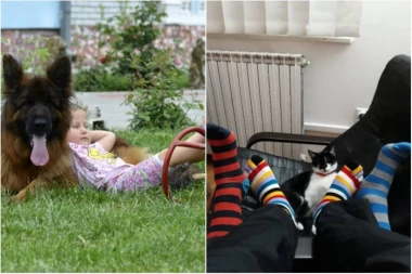 KUCNUO JE ČAS! VREME JE DA PROGLASIMO POBEDNIKE: Oni su osvojili hranu za svoje ljubimce