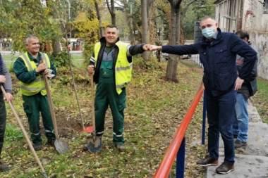 NA INICIJATIVU GRAĐANA! Na Savskom vencu zasađeno drveće: Predsednik opštine poručio da će nastaviti odgovorno da rade svoj posao