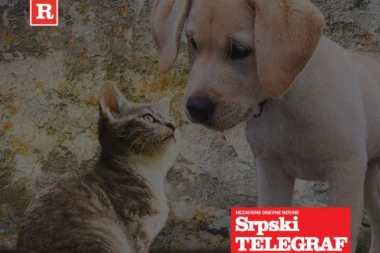 (FOTO) NEKA IGRA POČNE: Delimo vredne nagrade - u toku je novi krug konkursa "MOJ LJUBIMAC I JA"