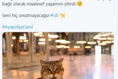 NAPUSTILA NAS I GLI: Čuveni simbol Aja Sofije uginuo