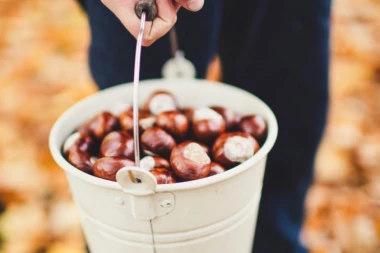 JESENJA POSLASTICA PREPUNA VITAMINA! Uživajte u ukusu kestena