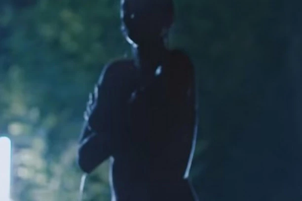 (VIDEO) STRAVA I UŽAS: Poznata pevačica napravila haos sa policijom, ispadali pištolji, NAROD U ŠOKU NAKON OVOG BRUTALNOG PRIZORA?!