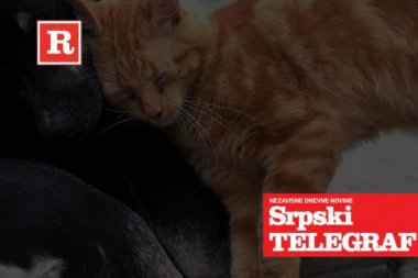 (FOTO) UČESTVUJE I JEDNA POZNATA LIČNOST: Iznenađenje u novom krugu nagradnog konkursa "Moj ljubimac i ja"!