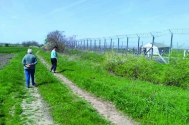 PUNI ĐUBROVNICI INSEKATA! Ovo je strašno i gadno! Na granici sa Srbijom krenula najezda BUBAŠVABA!