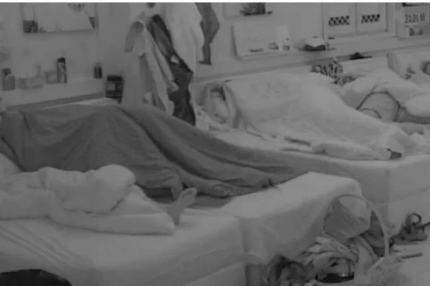 (VIDEO) ZORNJAK U ZADRUZI! Maja I Alen u vreloj akciji pred svim zadrugarima!