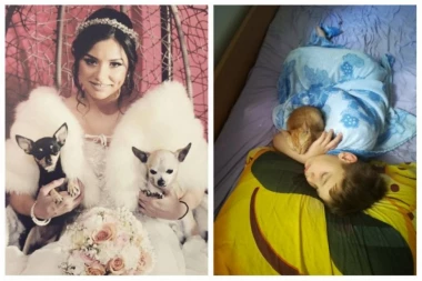 SKUPILI NAJVIŠE LAJKOVA: Oni su pobedili u nagradnoj igri Republike i Srpskog telegrafa "Moj ljubimac i ja"!