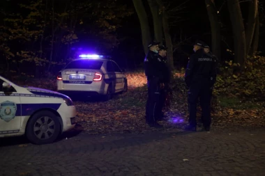 JAK PRASAK U NIŠU! Vozač zaspao za volanom i razneo banderu