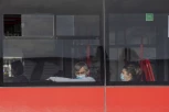 NEMOJTE DO MENE, IMAM KORONU! Scena u krcatom autobusu razbesnela putnike!