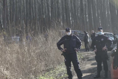 KRVAVE RUKE ZBOG ŠUMSKOG ZLATA: Kilo tartufa zbog kojih je nastao MASAKR vrede do PET HILJADA EVRA!