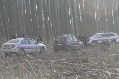 ŠOK DETALJI KRVAVOG OBRAČUNA U JARKU: Braća ubila braću zbog tartufa - OVAKO SE SVE ODIGRALO!