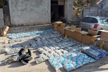 UZGAJAO MARIHUANU U PORODIČNOJ KUĆI: Policija u Nišu zaplenila 220 kilograma droge