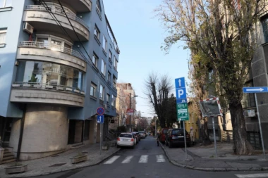 (FOTO) REPUBLIKA NA PALILULI! Brutalno udarao ženu, dok joj nije slomio lobanju: OVDE SE DOGODILO STRAVIČNO PORODIČNO NASILJE!