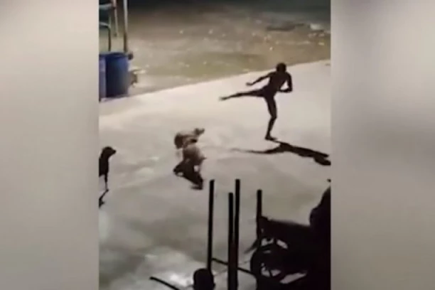 (FOTO) KOJI HIT: Pijanca napali psi, a on se  se kung-fu potezima BRANIO od njih!