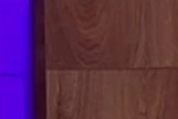 PEVAČICA HITNO POTRAŽILA STRUČNU POMOĆ! U sve umešan i njen suprug, otelo se KONTROLI u rijalitiju!