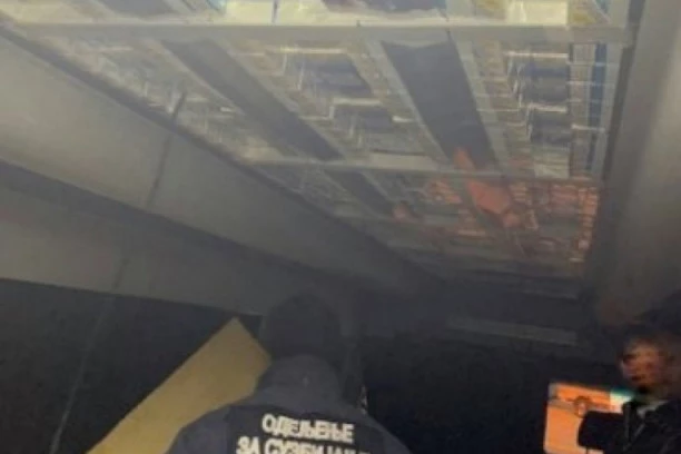 NEPOGREŠIV! Zahvaljujući njemu sinoć je na Kelebiji sprečen šverc 2.500 hiljade paklica cigareta! SLADAK JE KAO ŠEĆER!